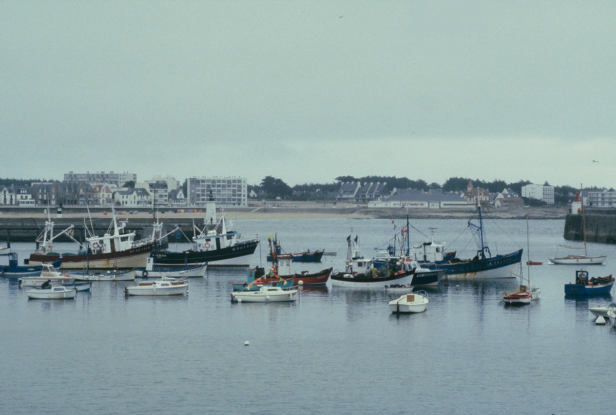 Fishing boats and sailboats lie before seafront buildings, with a constructed harbor headland entering from the right.