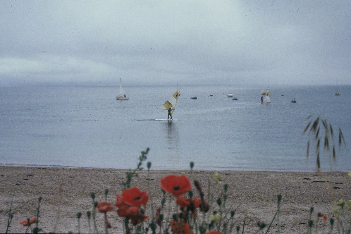 Red flowers border a beach overlooking small boats and windsurfers on calm water.