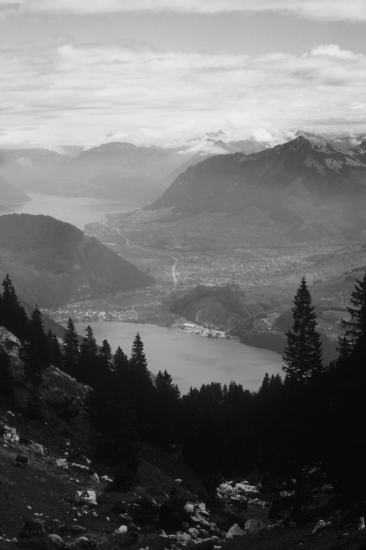 Lakes Beyond the Trees — black and white photograph by Craig Baker, ML#013.
