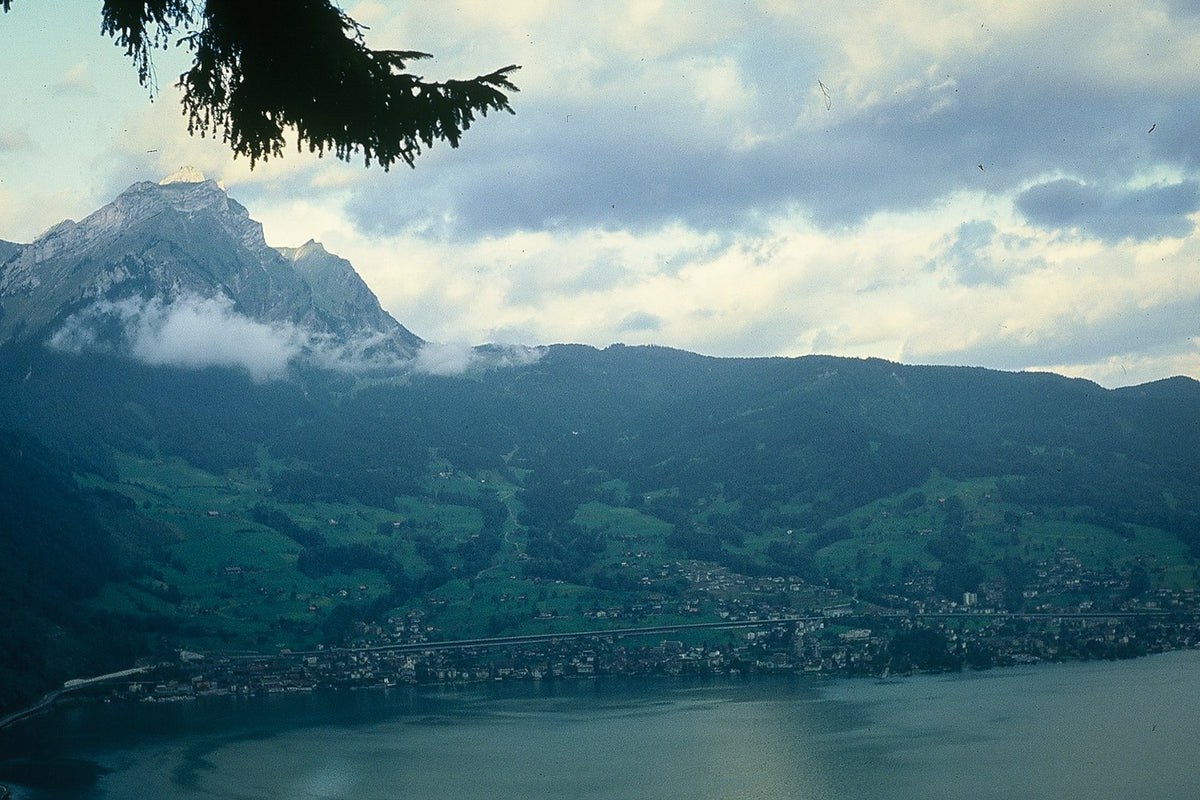 A waterside town in Norway lies beneath a steep green mountain and low clouds, framed by conifer branches.