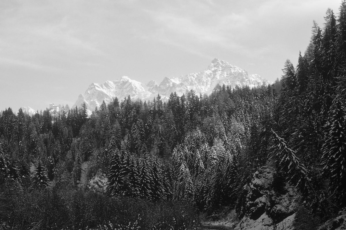 Forest Below the Peaks — black and white photograph by Craig Baker, ML#023.