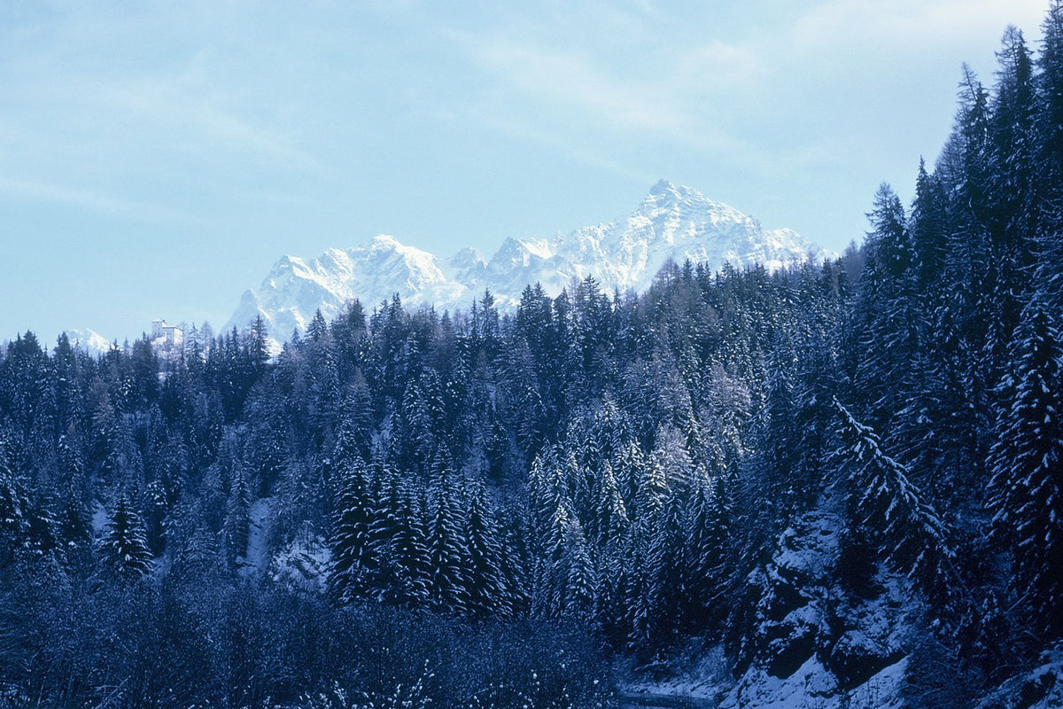 Snow-covered conifers fill a Swiss valley beneath distant Alpine peaks and a pale blue sky.
