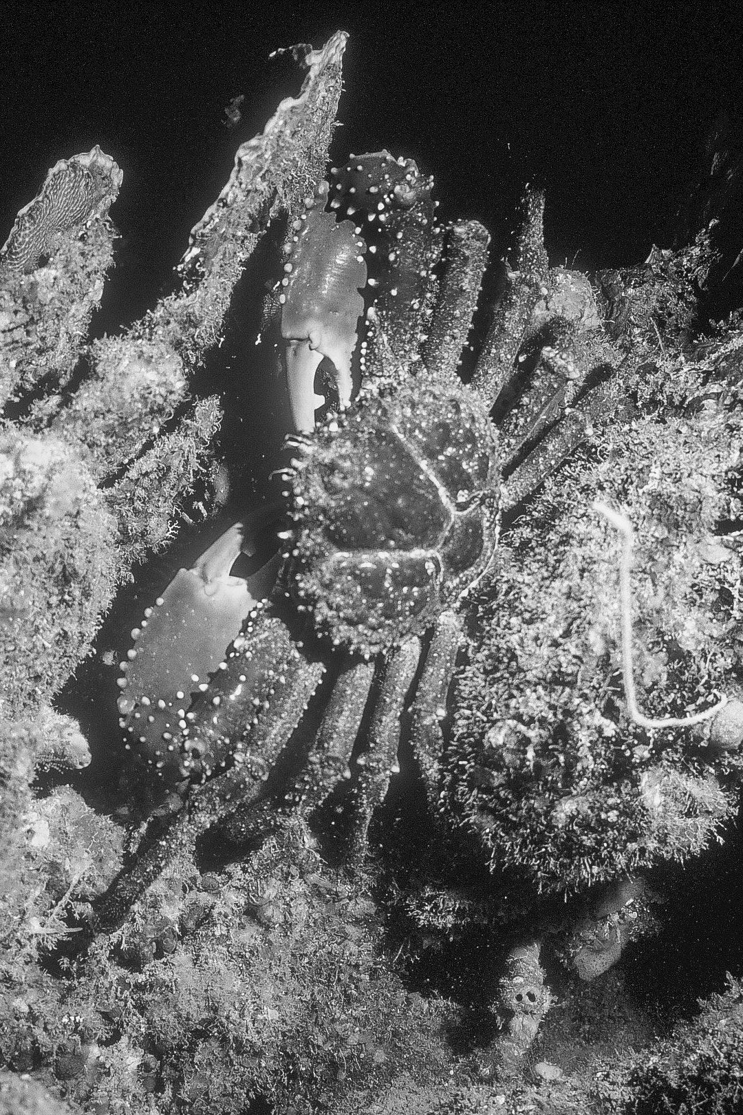 Just Fiddling Around — black and white photograph by Craig Baker, UM#002.