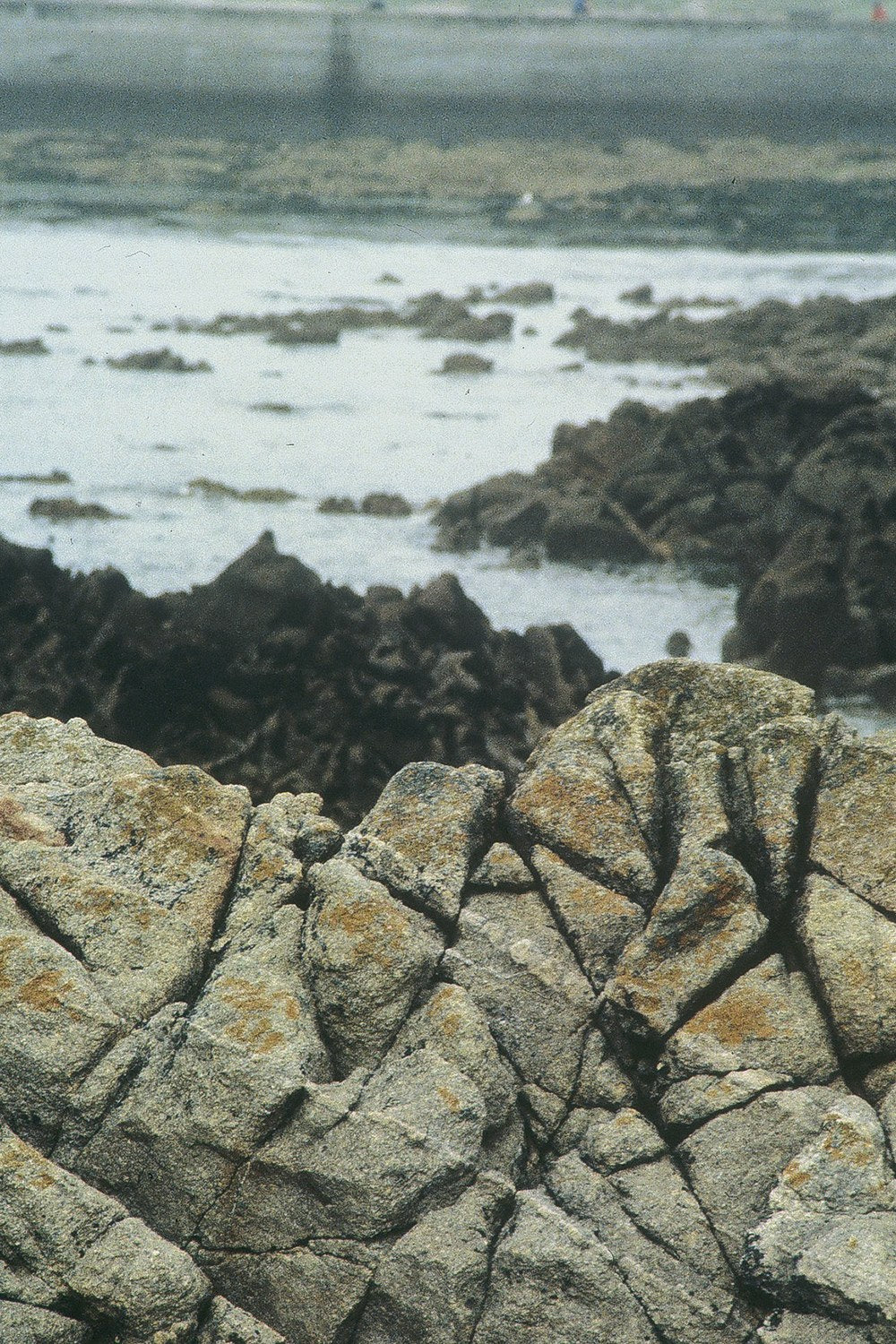 Tide pools and dark seaweed lie among pale fractured rocks on the Irish coast at low tide.
