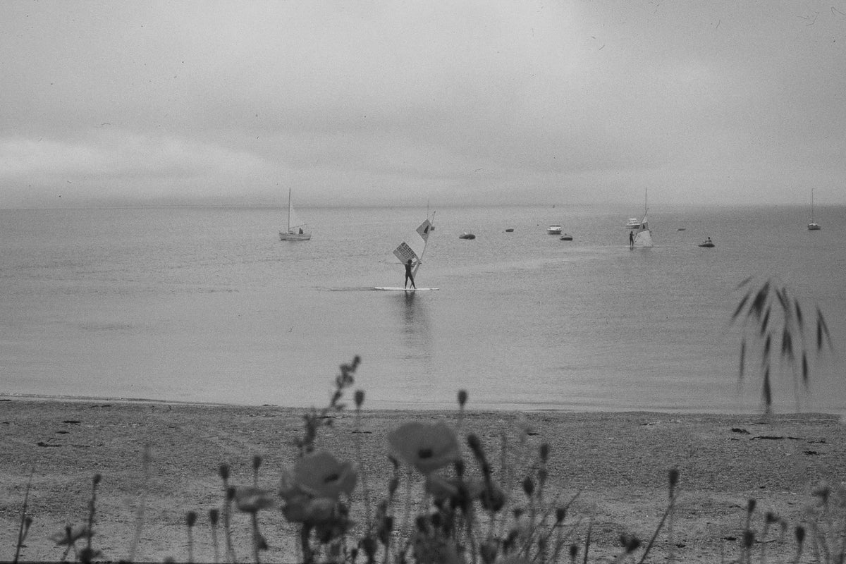 Flowers by the Sea — black and white photograph by Craig Baker, CH#012.