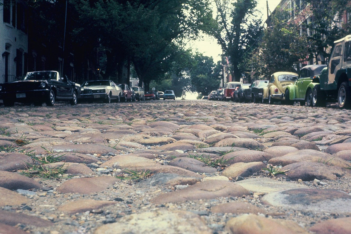 Uneven cobblestones fill the foreground of a tree-lined Alexandria street with parked cars.