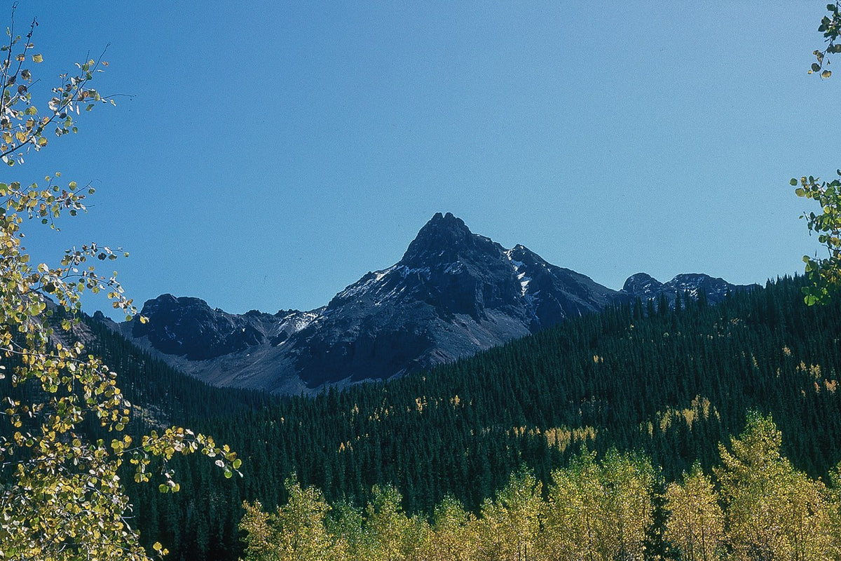 A pointed mountain peak rises over dark forest and golden aspens under a clear blue sky.