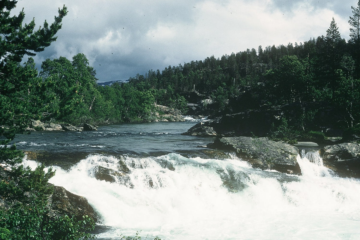 A broad river breaks into white rapids between wooded banks beneath a cloudy sky.