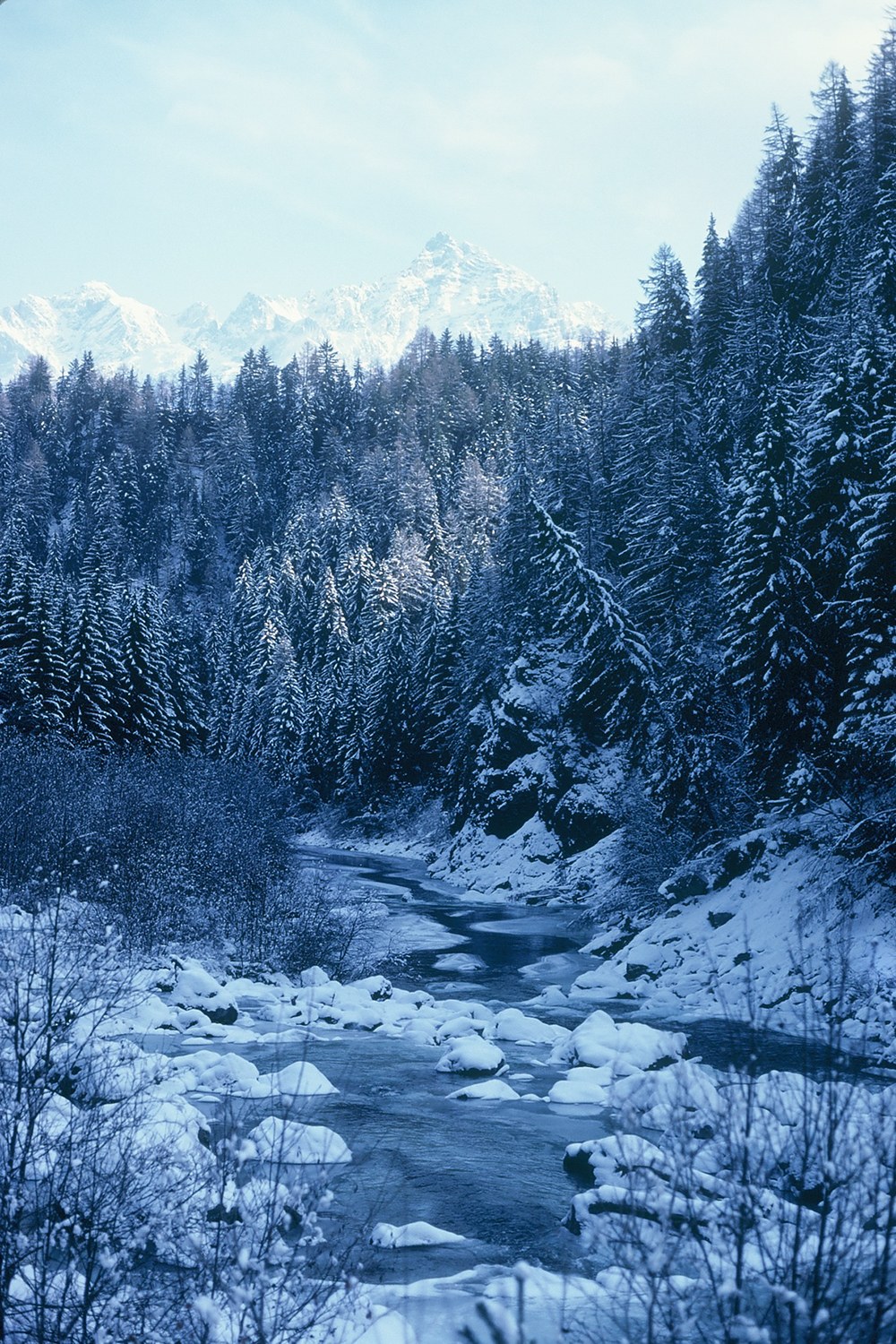A rocky stream winds through snow-covered conifers below Alpine peaks near St. Moritz.