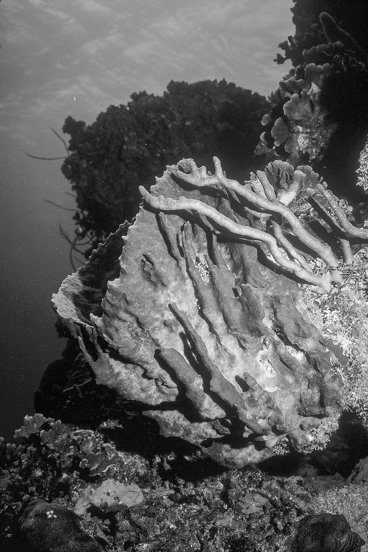 Beneath the Blue — black and white photograph by Craig Baker, UM#001.
